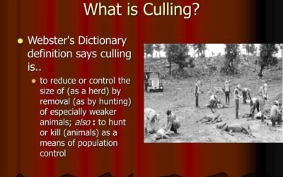 The Purge Before The Golden Age – Will You Make It To The Other Side Of This Reset?