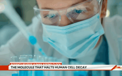 Did Chinese Scientists Just Find The Answer To Anti-Ageing? | GRAVITAS