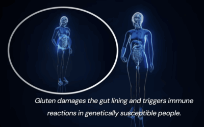 Are Plants Slowly Killing You? The Shocking Truth About Antinutrients, Oxalates & Lectins