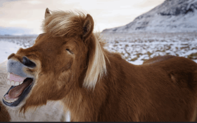 Instant Karma – Love It.