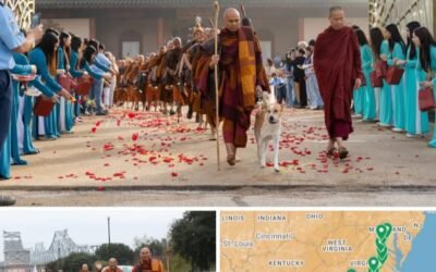 The Messiah Movie Comes To Life