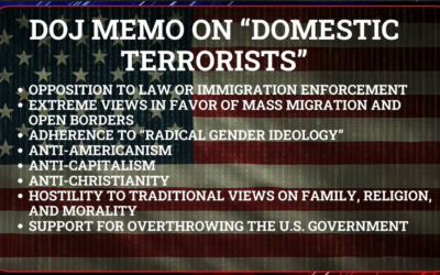 We Are Now All Domestic Terrorists, It Figures, This Means They Lost The Narrative.