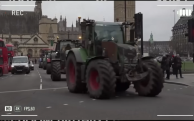 Lets Take Our Country Back And Eliminate All Debts And Pedophiles At The Same Time. Lets Reverse The Wealth Transfer They Have Planned From Them To Us!