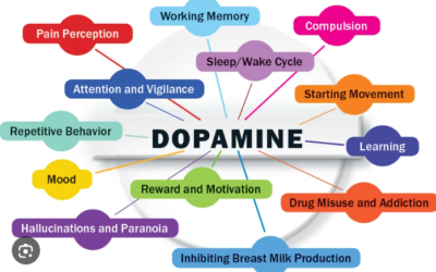 Dopamine Expert: Doing This Once A Day Fixes Your Dopamine! What Alcohol Is Doing To Your Brain!