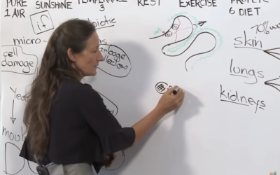 THIS CLEANSE Your Kidneys in Just 3 DAYS! | Barbara O’Neill