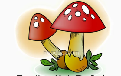 The Truth No One Wants To Acknowledge But Nothing Changes Until We Do.