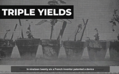 One Copper Wire Triples Your Harvest — Why Is This Science “Forbidden”?