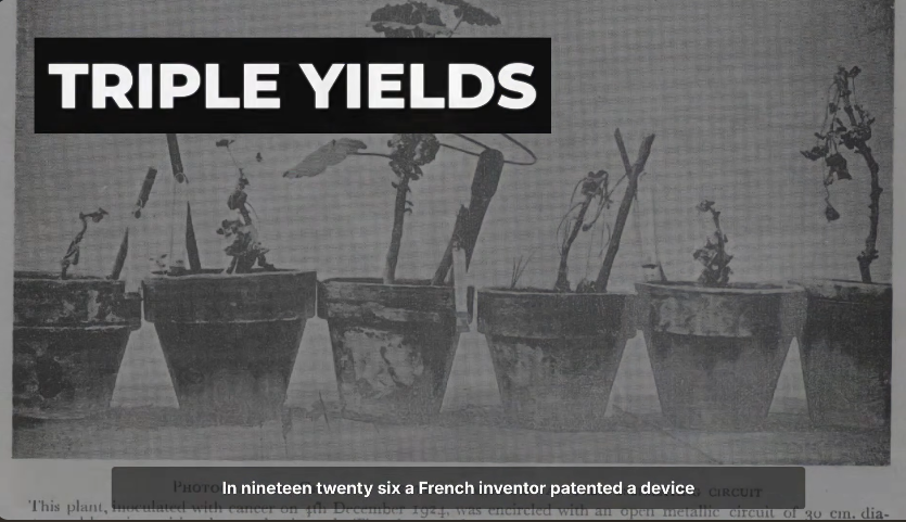 hardest Prison in the mind