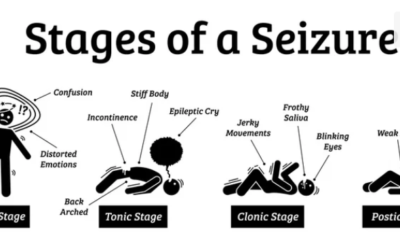 The Great Taking: How Your Assets Will Be Seized Without You Knowing