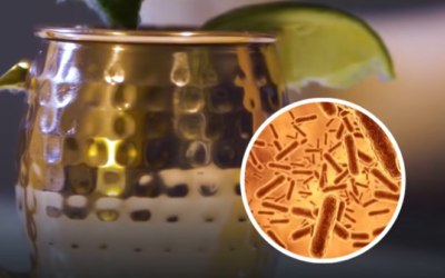 Copper is not optional. It is an essential mineral your body uses to survive and thrive.