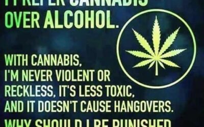 Trump’s Re-Scheduling Order BLOCKED? Reefer Madness Is OFFICIALLY BACK! This Will Destroy A Lot Of Cash Cows If Allowed.