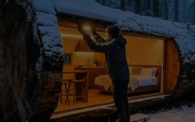 Building a Hidden Cabin in a Snowy Forest