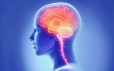 print-icon print-icon How A Bad Night’s Sleep Affects The Brain’s Cleaning System