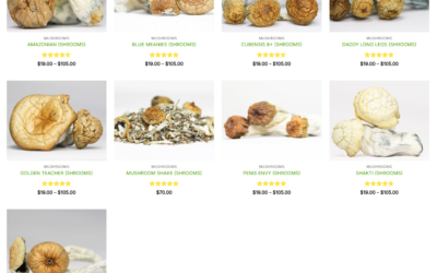 The Great Awakening.