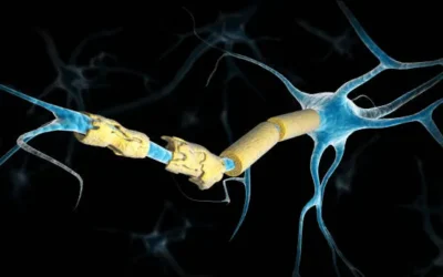 This Vitamin Reversed Nerve Damage in 14 Days After 60