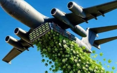 The Disgusting Psychology Of A Prohibitionist Shill Doing The Devils Work!