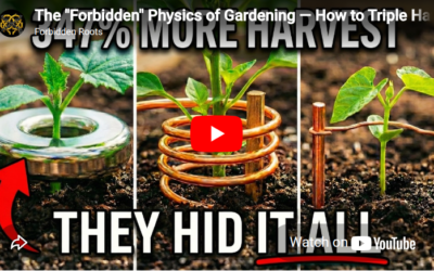 The “Forbidden” Physics of Gardening — How to Triple Harvests Without Chemicals [FULL DOCUMENTARY]