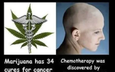 A Politically Incorrect But Truthful Letter, To Kevin Sabet The Prohibitionist Big Pharma Shill