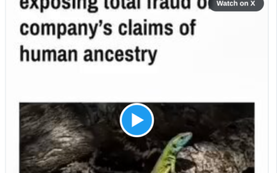 Are They Reptiles In Human Form, It Would Explain A Lot!