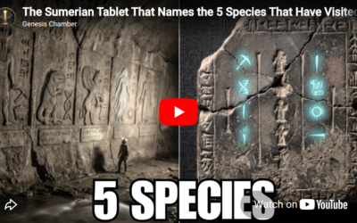 The Sumerian Tablet That Names the 5 Species That Have Visited Earth — And What Each One Wanted
