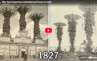 Why They Erased The Unlimited Food Forests After 1900